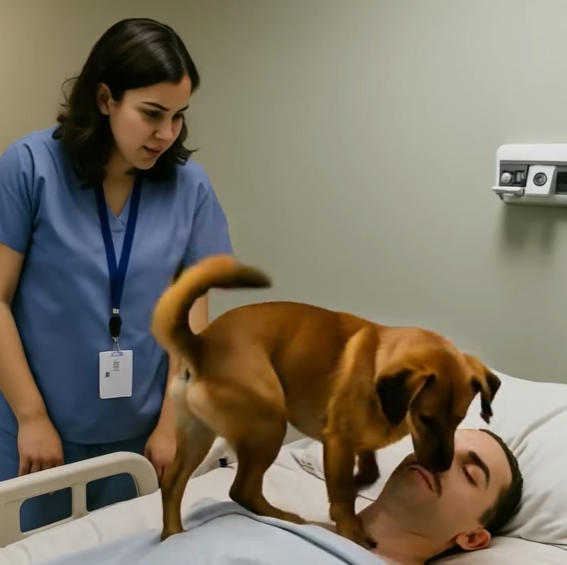 The doctors decided to turn off the life-support machines keeping the young officer alive, but before doing so, they allowed his dog to say goodbye, but then something unexpected happened