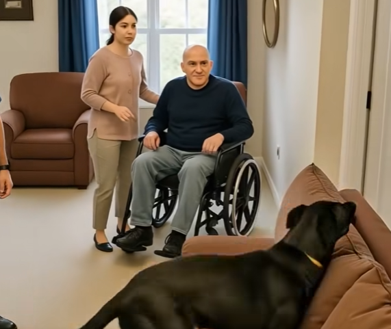 A couple called the police, saying they heard strange noises coming from their sofa! When the officers cut open the upholstery, they discovered something horrifying