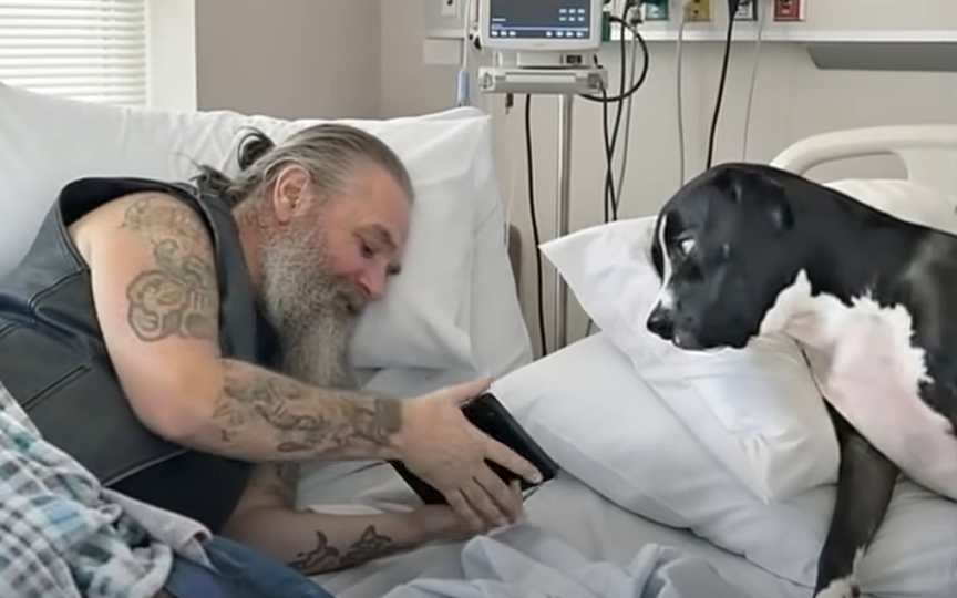 She Arrived With Papers to Take His Dog, But a Hospital Room Changed Their Story Instead
